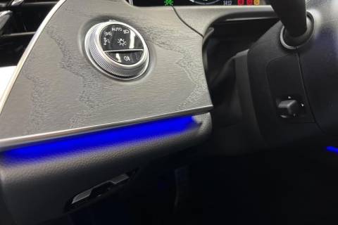 fe34e041-ffdf-4d8c-8f83-9f72555056a6.jpeg